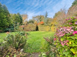 Photo 21- click for photo gallery